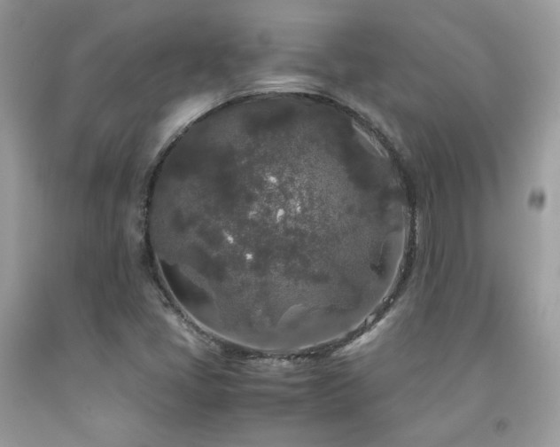 X0000092021405200709061544