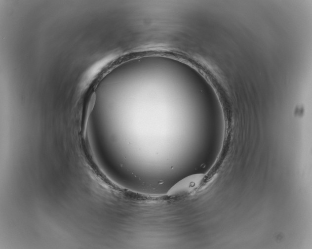 X0000092021406200709061544