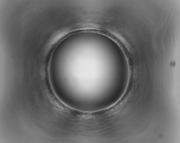 X0000092021407200709061544