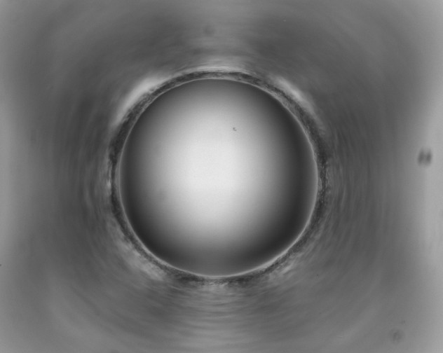 X0000092021408200709061544