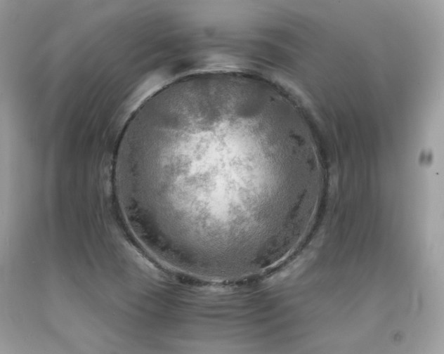 X0000092021409200709061544