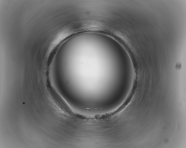 X0000092021410200709061544