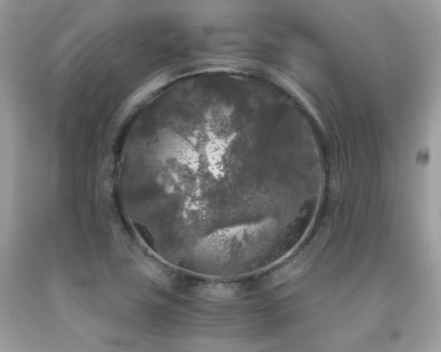 X0000092021411200709061544