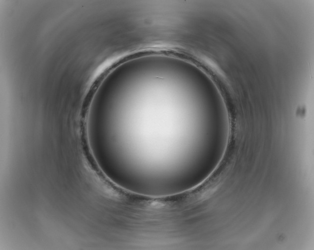X0000092021412200709061544