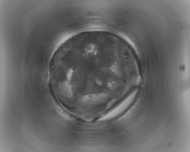 X0000092021413200709061544