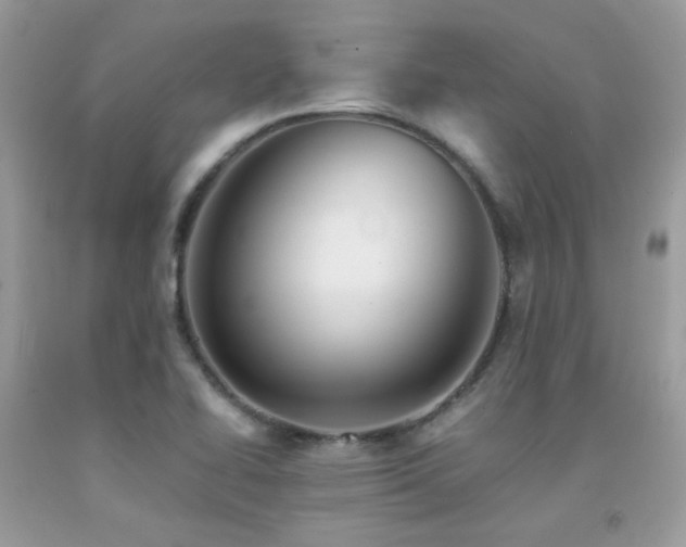 X0000092021414200709061544