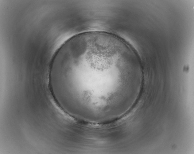 X0000092021415200709061544
