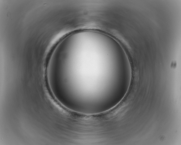 X0000092021416200709061544