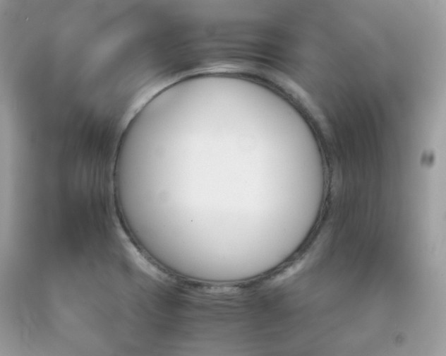 X0000092021417200709061544