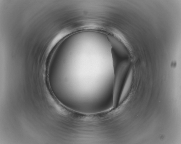 X0000092021418200709061544