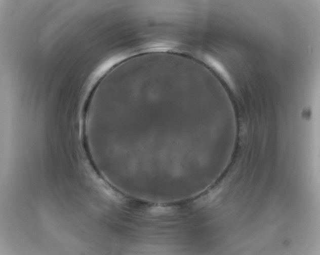 X0000092021419200709061544