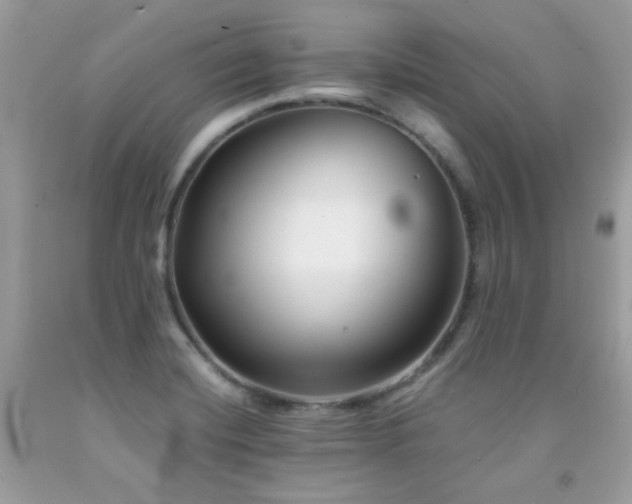 X0000092021420200709061544