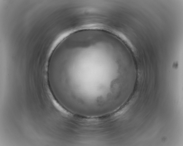 X0000092021421200709061544