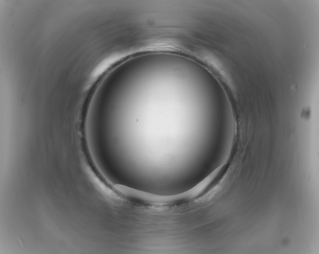 X0000092021422200709061544