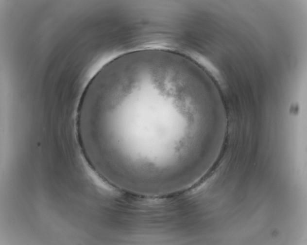 X0000092021423200709061544