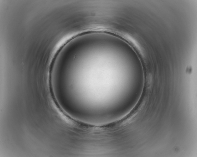 X0000092021424200709061544