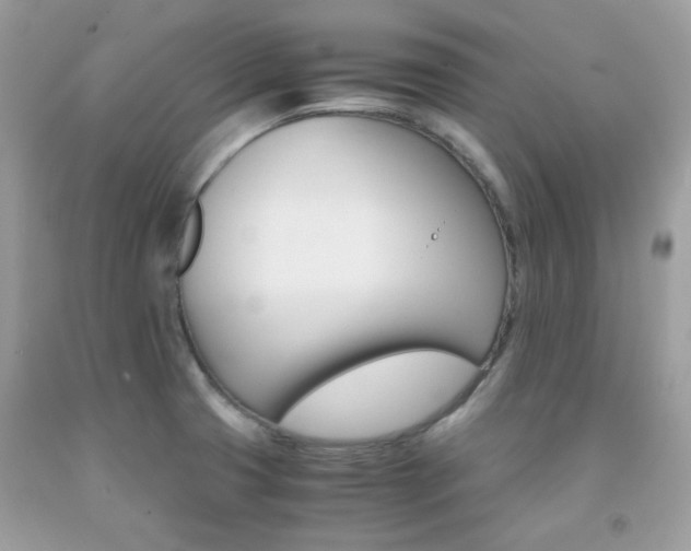 X0000092021425200709061544