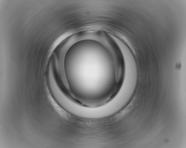 X0000092021426200709061544