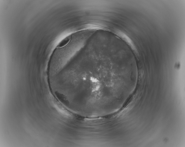 X0000092021427200709061544