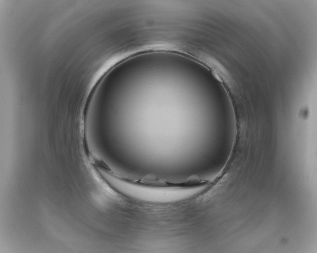 X0000092021428200709061544
