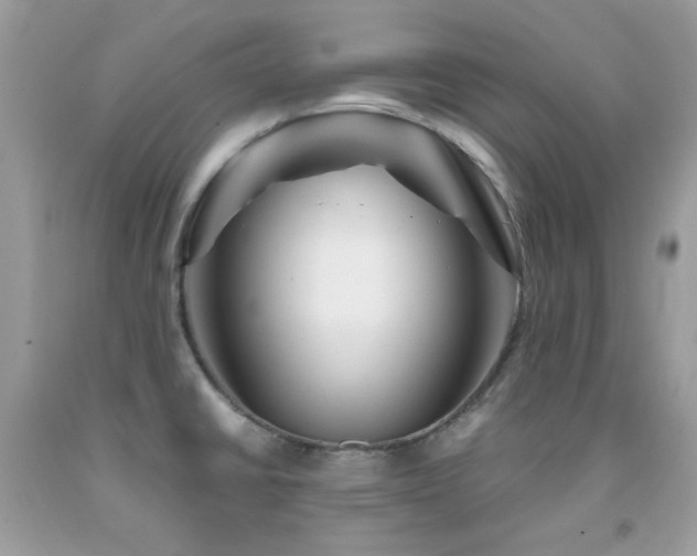 X0000092021430200709061544