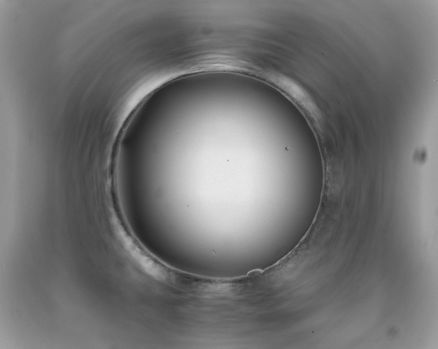 X0000092021431200709061544