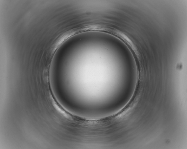 X0000092021433200709061544