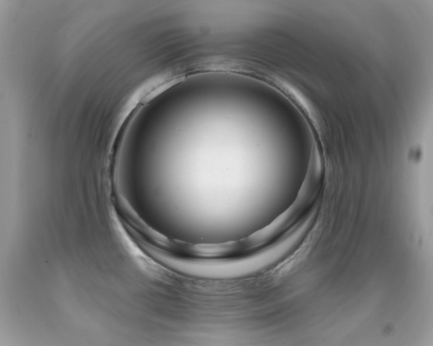 X0000092021434200709061544