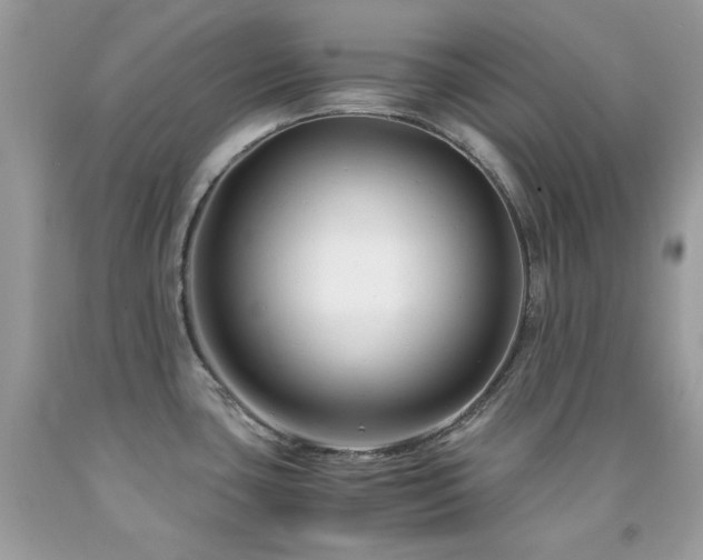 X0000092021435200709061544