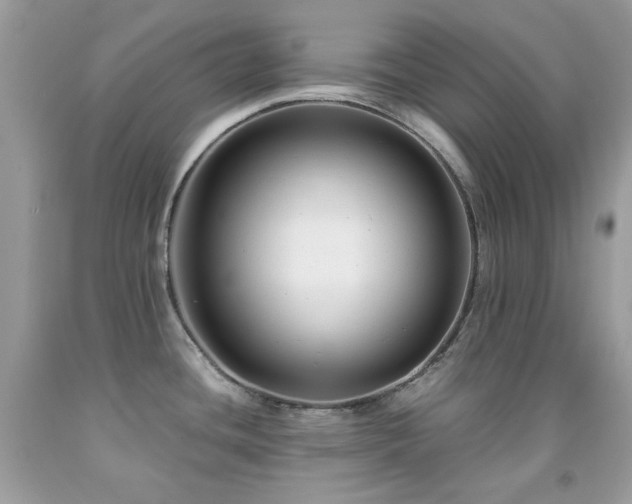 X0000092021436200709061544