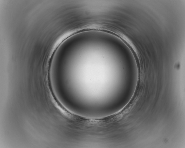X0000092021437200709061544