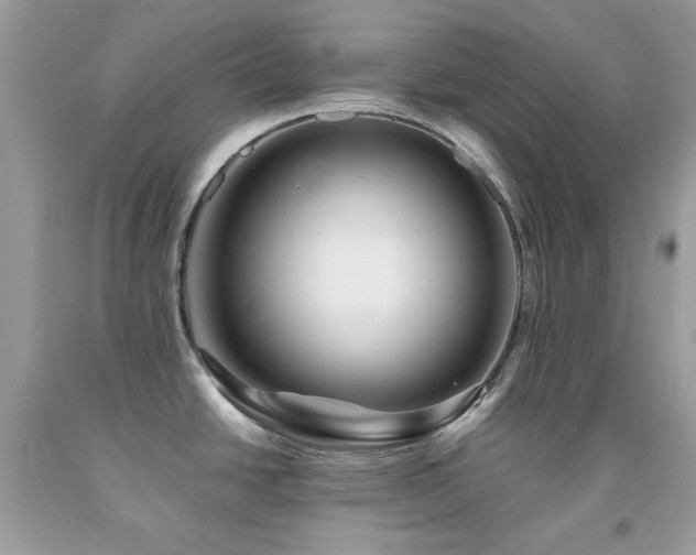 X0000092021438200709061544