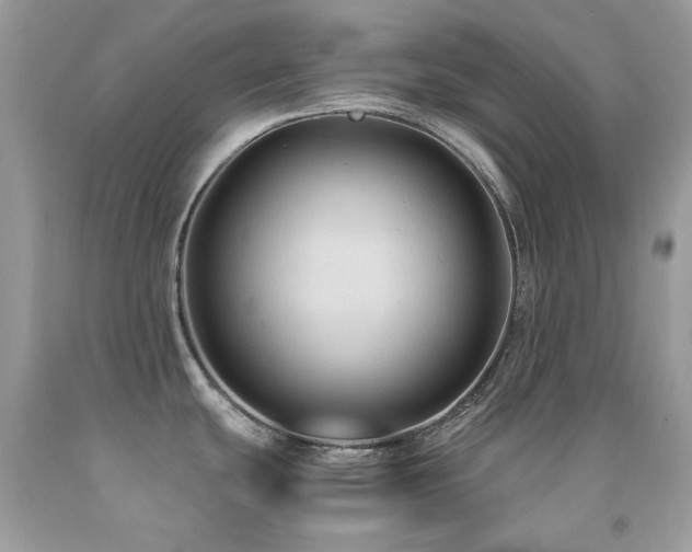 X0000092021439200709061544