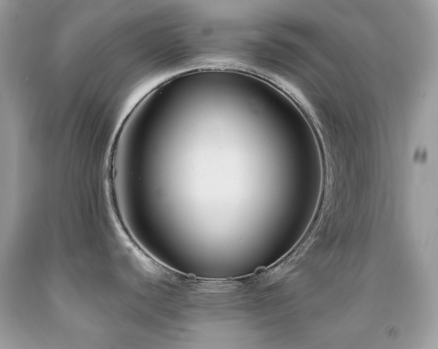 X0000092021440200709061544
