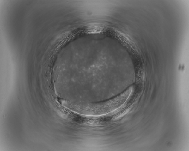 X0000092021441200709061543