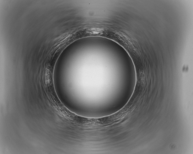 X0000092021442200709061543