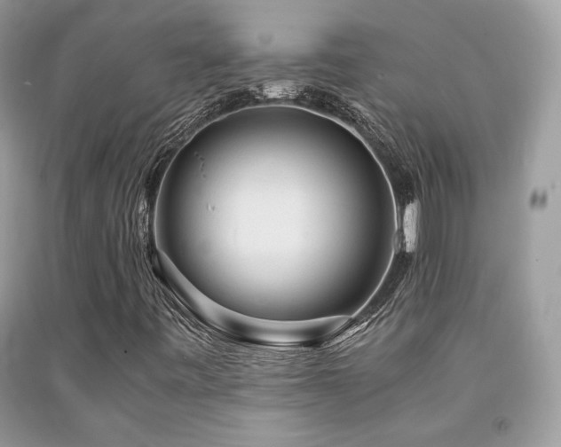 X0000092021443200709061543