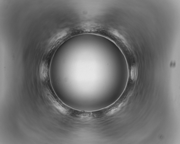 X0000092021444200709061543