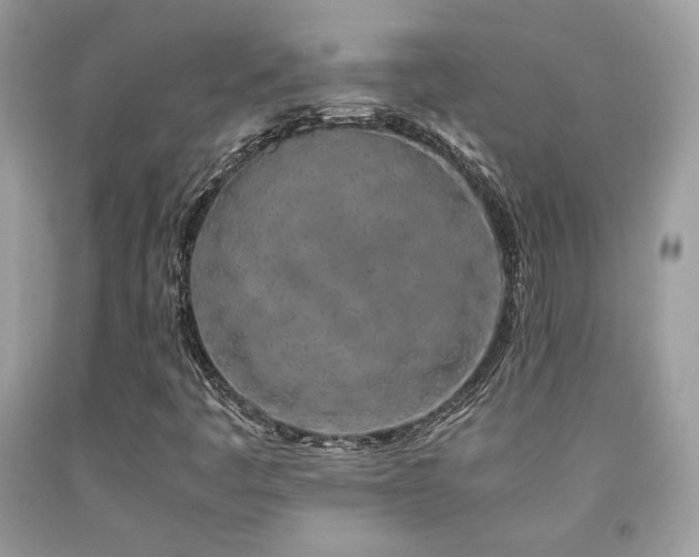 X0000092021445200709061543