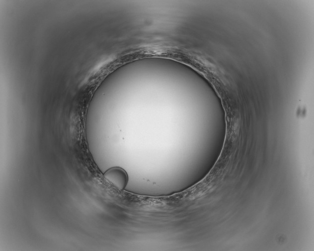 X0000092021446200709061543