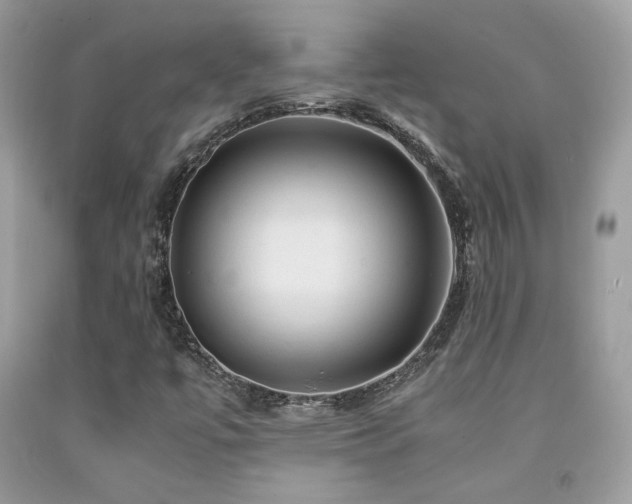 X0000092021447200709061543