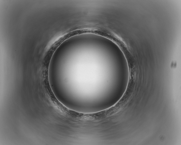 X0000092021448200709061543