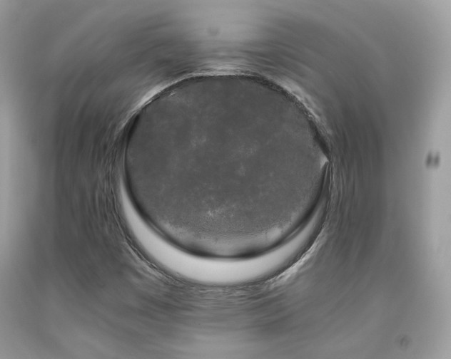 X0000092021449200709061543