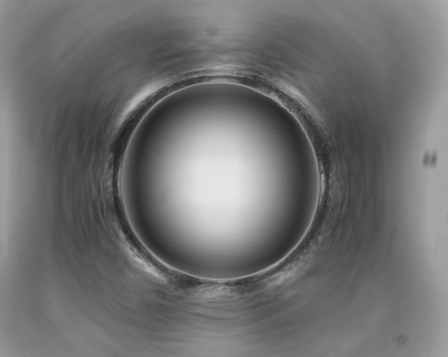 X0000092021450200709061543