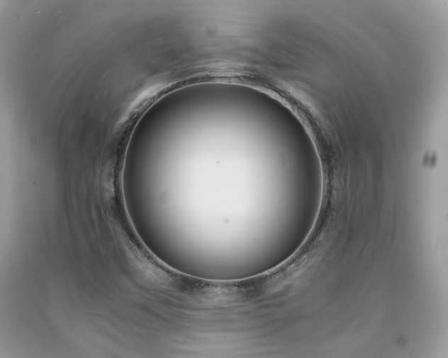 X0000092021451200709061543