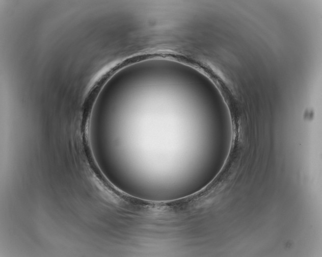 X0000092021452200709061543