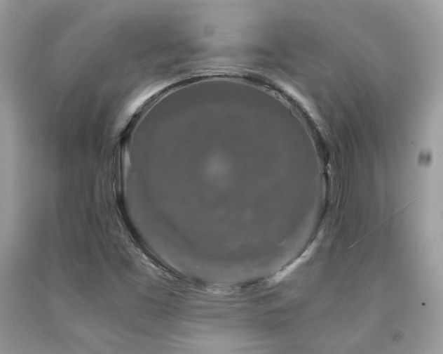 X0000092021453200709061543