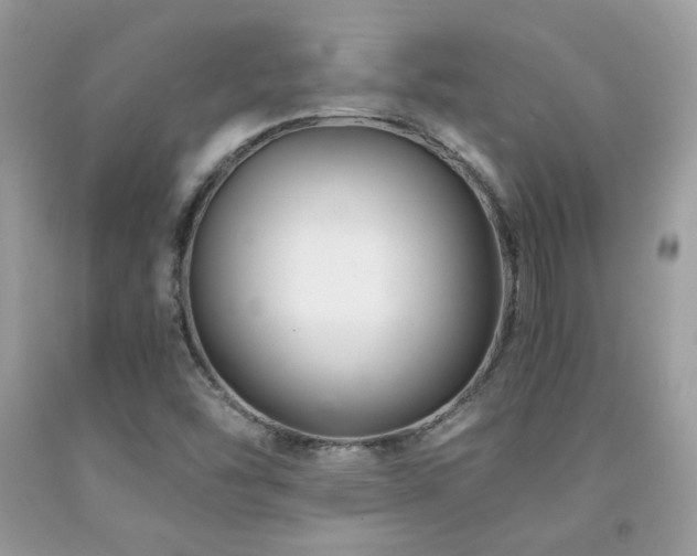 X0000092021454200709061543