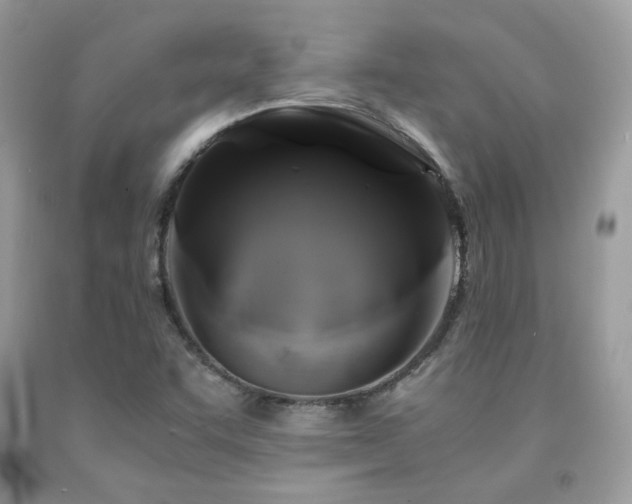 X0000092021455200709061543