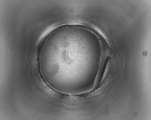 X0000092021456200709061543